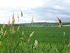 Mikulov - B�eclav