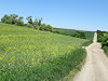 Mikulov - B�eclav