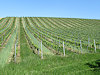 Mikulov - B�eclav