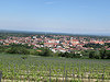 Mikulov - B�eclav