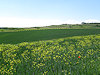 Mikulov - B�eclav