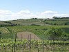 Mikulov - B�eclav
