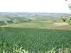 Mikulov - B�eclav
