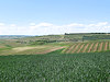 Mikulov - B�eclav