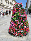 Litovel a Olomouc