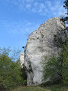 Pálava