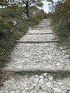 Pálava