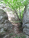P�lava