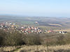 Pálava