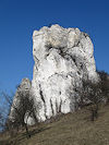 Pálava