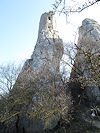 Pálava
