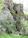 Hardegg