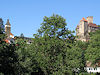 Hardegg