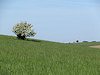 Kamenec a z��cenina hradu Bran�