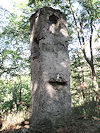 Plavecl� hrad
