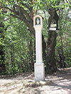Plavecl� hrad
