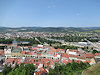 V okol� Tren��na