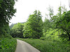 B�l� Karpaty