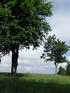 B�l� Karpaty