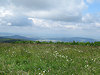 B�l� Karpaty