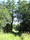 B�l� Karpaty
