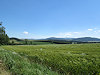 B�l� Karpaty