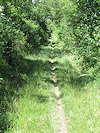 B�l� Karpaty