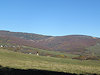 B�l� Karpaty