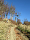 B�l� Karpaty