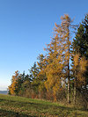 B�l� Karpaty
