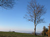 B�l� Karpaty