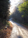 B�l� Karpaty