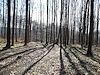 B�l� Karpaty