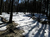 B�l� Karpaty