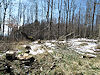B�l� Karpaty