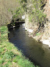 Hradec nad Moravic� a Vik�tejn