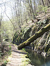 Hradec nad Moravic� a Vik�tejn