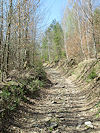 Hradec nad Moravic� a Vik�tejn