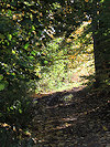 Humpolec a hrad Orl�k