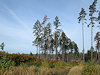 Humpolec a hrad Orl�k