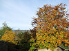Humpolec a hrad Orl�k