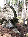 Humpolec a hrad Orl�k
