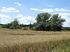 V okol� Krnova