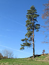 Land�tejn