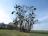 U �eky Moravy