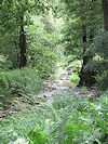 Rok�tejn a Brtnice